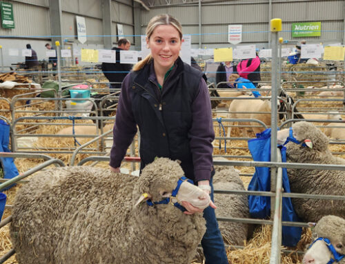 Ag students at Sheep and Wool Show